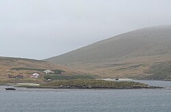 New Island- Falkland Islands.jpg