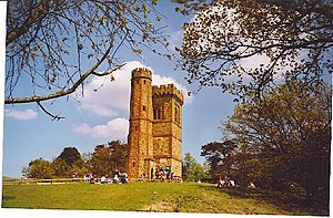 Leith Hill Tower - geograph.org.uk - 104994.jpg