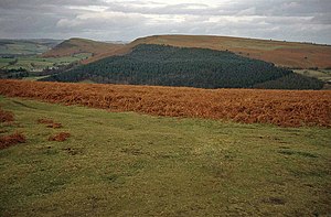 The disused racecourse on the Hergest Ridge - geograph.org.uk - 1444713.jpg