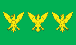 Flag of Caernarfonshire.png