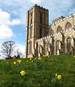 Ripon Cathedral in spring.jpg