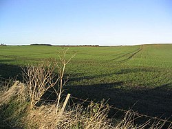 Farmland near Bowsden Moor - geograph.org.uk - 285182.jpg