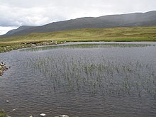 The Eastern end of the loch