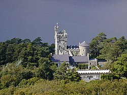 Glenveagh Castle - geograph.org.uk - 395086.jpg