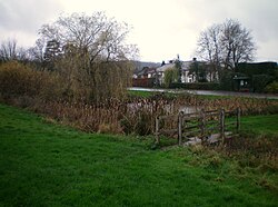 North Holmwood pond.JPG