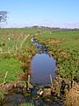 The Clerkland Burn at Clerkland West farm