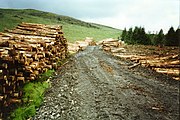 Road to Craigaire Fell