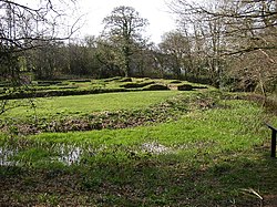 The ruins of Penhallam Moated Manor House - geograph.org.uk - 23988.jpg