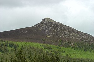 Mither Tap from the South - geograph.org.uk - 55769.jpg