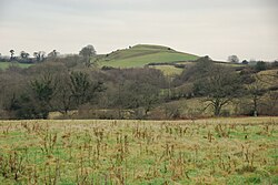 Castle Hill from the lane to West Chelborough.jpg