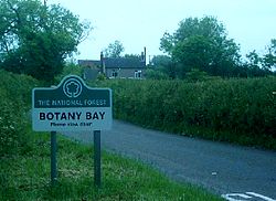 BotanyBayDerbyshire0.JPG