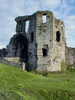 Denbigh Castle.jpg