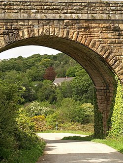 Arch of Chacewater Viaduct - geograph.org.uk - 1315083.jpg