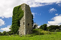 Castles of Leinster- Adamstown, Wexford (1) (geograph 5442502).jpg