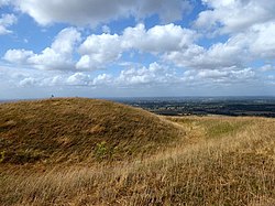 Castle Ring, Edburton Hill (1) (geograph 5861621).jpg