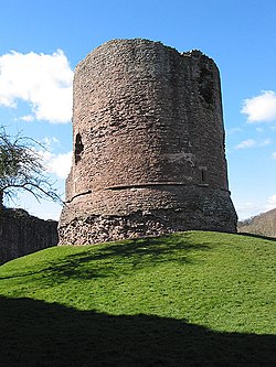 Great Tower, Skenfrith Castle - geograph.org.uk - 714671.jpg