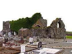 Derelict Church and Burial Ground at Bannow - geograph.org.uk - 14595.jpg