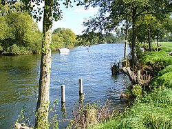Thames Downstream from Mill End - geograph.org.uk - 536844.jpg