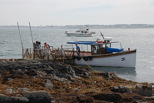 copeland island boat trips