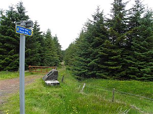 The Ulster Way on Slieveanorra - geograph-1941320.jpg