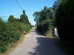 Track To Old Hall, Oulton - geograph.org.uk - 910458.jpg