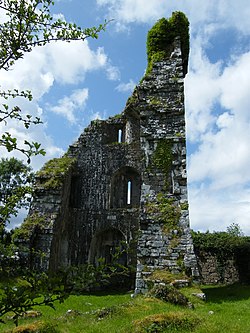 Aghalard Castle, County Mayo - geograph-2329557.jpg