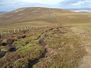 Fence from Scald Hill to Broadhope Hill - geograph.org.uk - 1510809.jpg