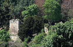 The remains of Blanerne Castle near Edrom - geograph.org.uk - 1288674.jpg