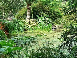 Pond, Trengwainton Garden - geograph.org.uk - 236478.jpg