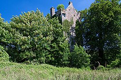 Castles of Munster - Ballyclogh, Cork - geograph.org.uk - 1393398.jpg