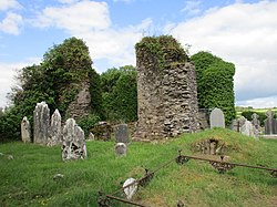 Ruins of church, Ballynoe (geograph 5006269).jpg