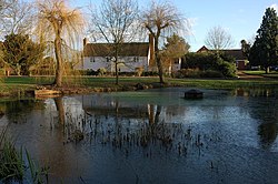 Village pond at Apperley - geograph.org.uk - 643370.jpg