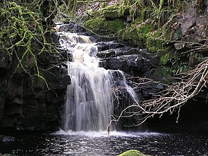 Waterfall, Sloughan Glen - geograph.org.uk - 1176768.jpg