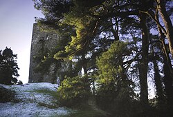 Conna Castle.jpg
