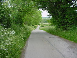 The road to Stoneyford Lodge - geograph.org.uk - 18230.jpg
