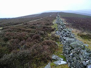 The track up Kirkhope Law - geograph.org.uk - 1619535.jpg