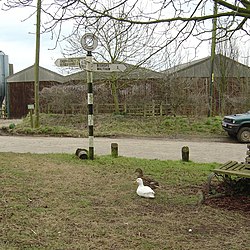 Junction by pond, Upham, with ducks - geograph.org.uk - 135998.jpg