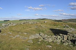 The remains of Bow Castle Broch - geograph.org.uk - 225213.jpg