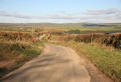 Lane at Middle Taphouse, Cornwall - geograph-3250772.jpg
