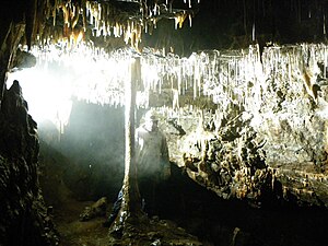 Column in Crackpot Cave.JPG