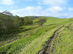 Bridleway into sheep country - geograph.org.uk - 1028067.jpg