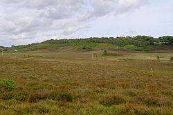Castle hill hampshire geograph-494840-by-Jim-Champion.jpg
