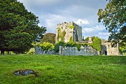 Cloghan Castle.jpg