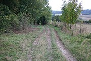 The bridleway from Great Chishill to Little Chishill