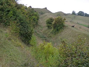 Northern side of the hillfort on Hod Hill - geograph.org.uk - 242753.jpg