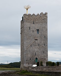 County Cork - Belvelly Castle - 20210727132541.jpg