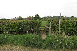 Footpath across the field to Meadow House (geograph 7166021).jpg