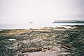 Pentire Point and the island of Newland