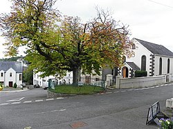 The Crimean War Tree in Tullyhommon - geograph-2072668.jpg