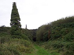 Approach cutting to Gogginshill Tunnel, Co.Cork - geograph.org.uk - 77377.jpg